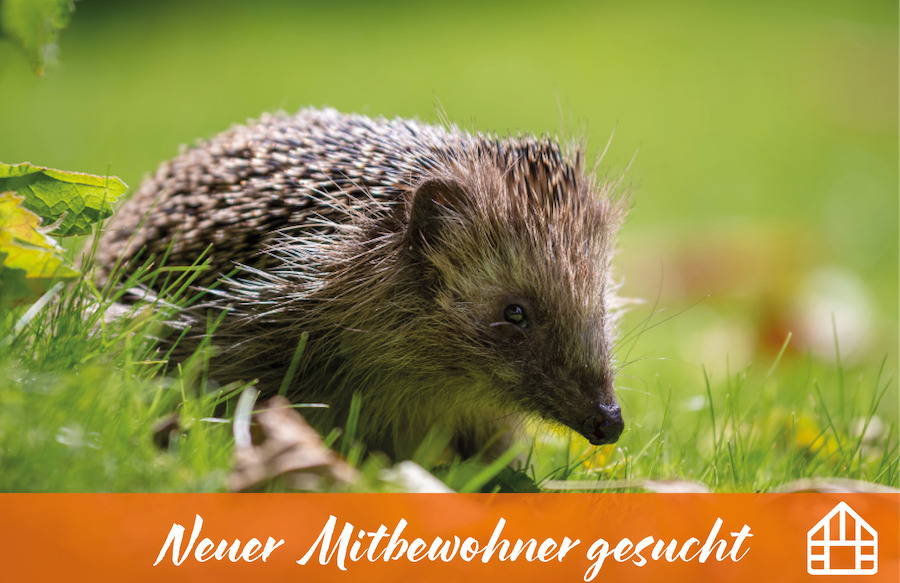 Titelbild - Gartenwohnung zum Wohlfühlen