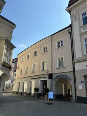 Stilvolle Mietwohnung, 2700 Wiener Neustadt, Wohnung