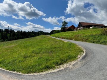 Bild - Sommer im Eigenheim