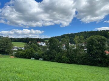 Bild - Sommer im Eigenheim