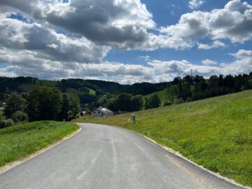 Bild - Sommer im Eigenheim